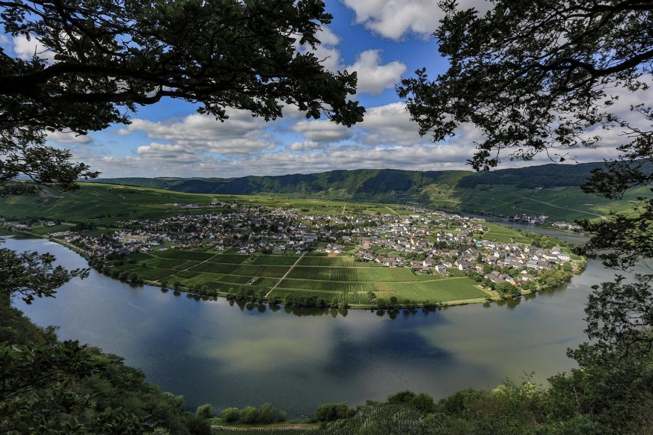 Kettern Urlaub Daire Piesport Dış mekan fotoğraf